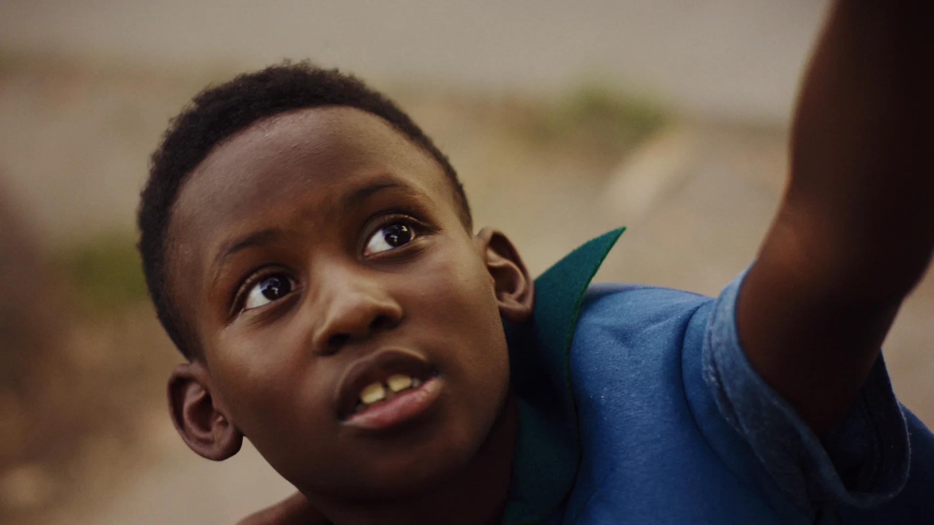 Blueberry — still 1